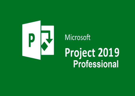 Des Microsoft-Projekt-Fachmann-2019 Kleinbit 1 PC Lebenszeit kasten-des Paket-64