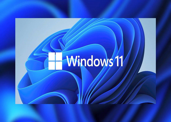 Lizenz-Schlüssel-volles Paket TPM 2,0 Microsoft Windows 11 UEFI Soems DVD Windows Pro